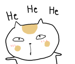 23375855