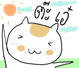 23375877