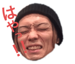 233776568
