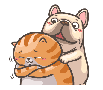 พิกุ - เฟรนช์ บูลด็อก : คู่หูจอมป่วน 2 รูปที่ 19