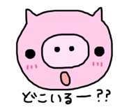 233868196