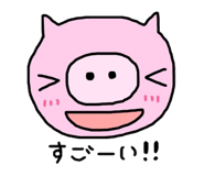 233868209