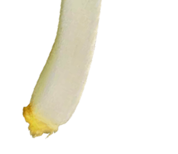 233902444