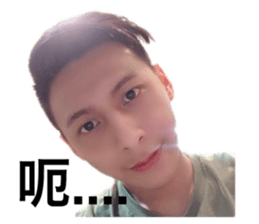 233903591