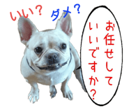 23393257