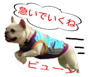 23393261
