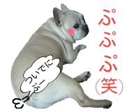 23393267