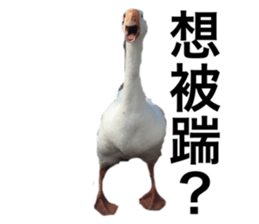 233933018