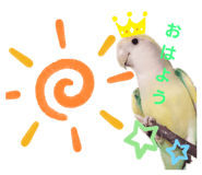 234116644