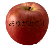 234166968