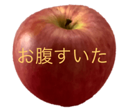 234166970