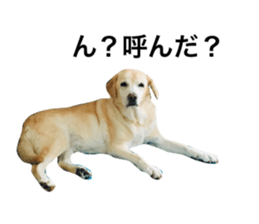 234226132