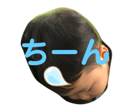 234228544