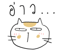 23426672