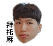 234394396