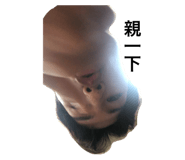 234394403