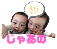 234397955