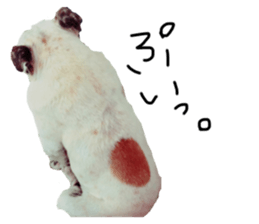 234456240
