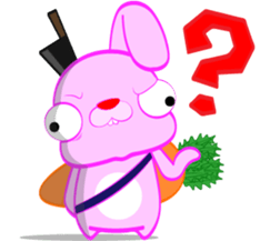 234551434