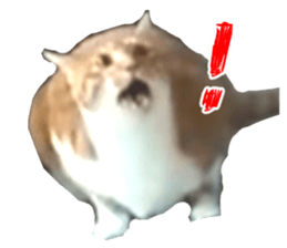 234588571