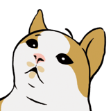 234623414