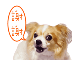 234629560