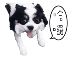 234629562