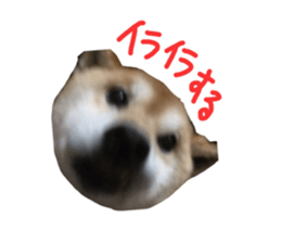 23467740