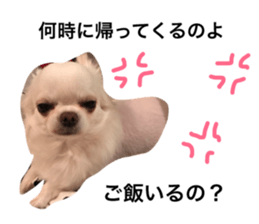23469406