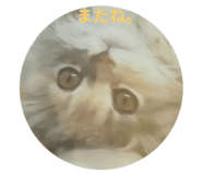 234715536