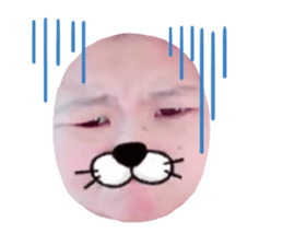 234823013