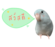 234837510