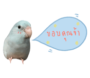 234837511