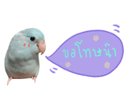 234837514