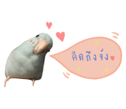 234837515