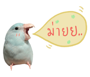234837519