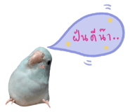234837520