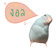 234837521