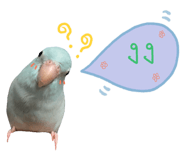 234837522