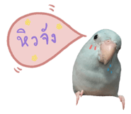 234837523