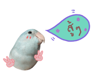 234837524