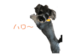 234867686