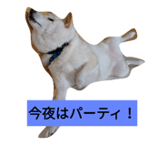 234869102