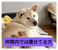 234869108