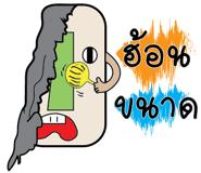 234913560