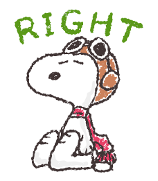 Snoopy สติกเกอร์เพื่อนรัก รูปที่ 34