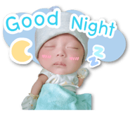 23496206