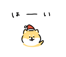 23505829