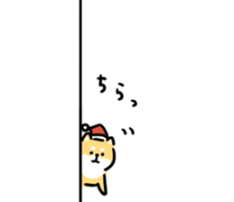 23505832