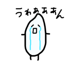 23507137